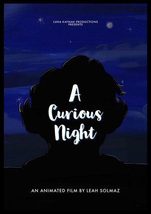A Curious Night