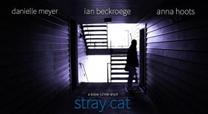 Stray Cat