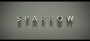 Sparrow