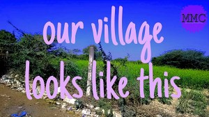 Our Village Looks Like This