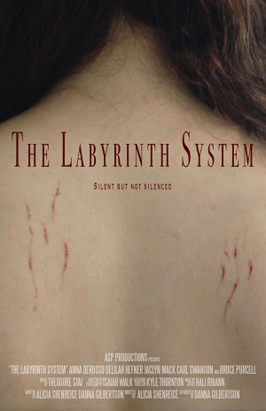 The Labyrinth System The Labyrinth System