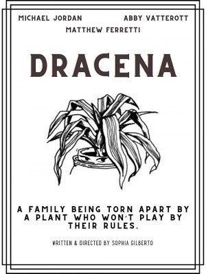 Dracena