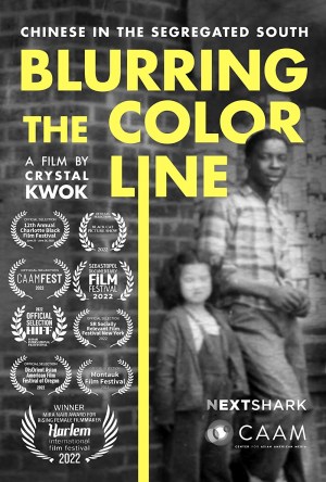 Blurring the Color Line