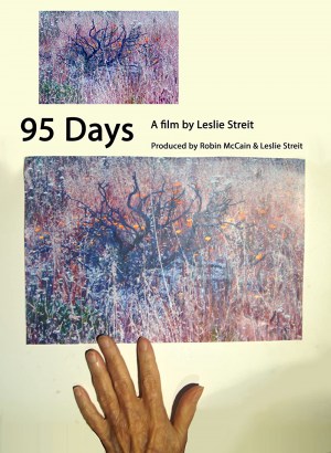 95 Days
