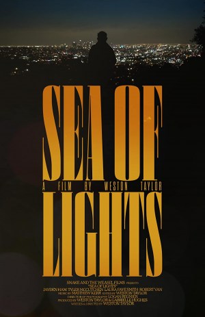 Sea of Lights