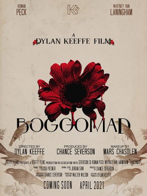 Boggomad
