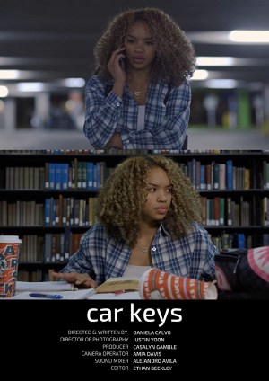 Car keys