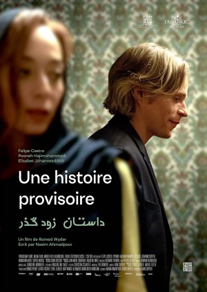 Une histoire provisoire