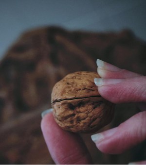 Walnut Men