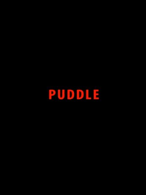Puddle