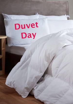 Duvet Day