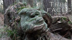 Tree Faces