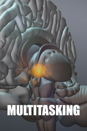 Multitasking: Wie viel geht gleichzeitig?