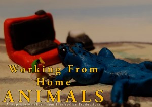 WFH Animals