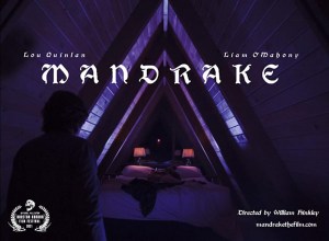 Mandrake