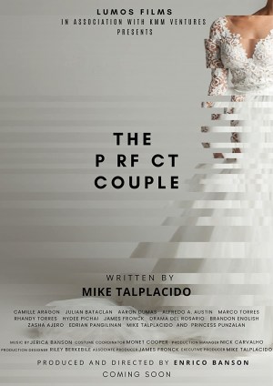 The Perfect Couple