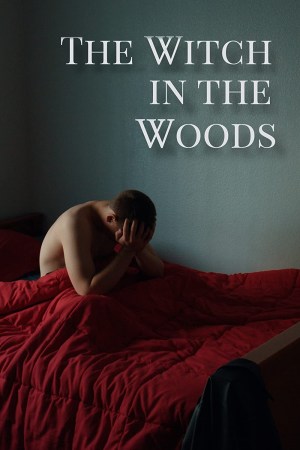 The Witch in the Woods