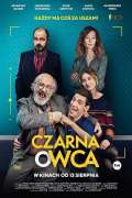 Película Czarna owca