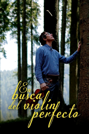 Jakten på Tonetreet