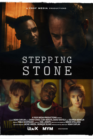 Stepping Stone Stepping Stone