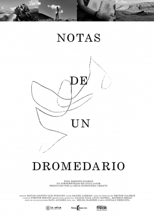 Notes from a Dromedary