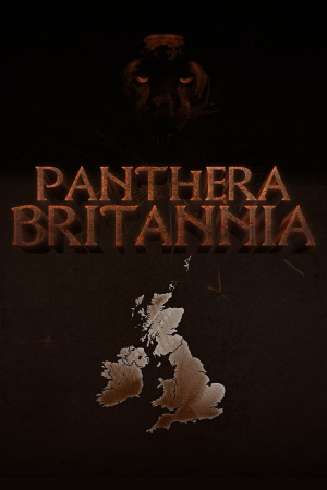Panthera Britannia Panthera Britannia