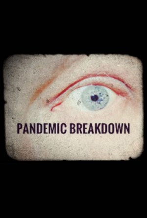 Pandemic Breakdown