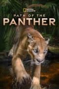 Película Path of the Panther