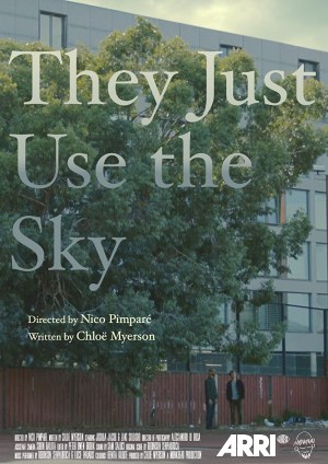 They Just Use the Sky
