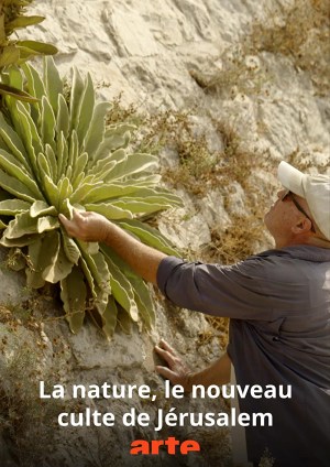 La nature, le nouveau culte de Jérusalem