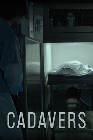 Cadavers
