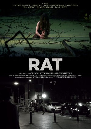 Rat