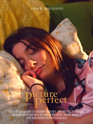 Picture Perfect