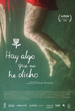 Hay algo que no he dicho