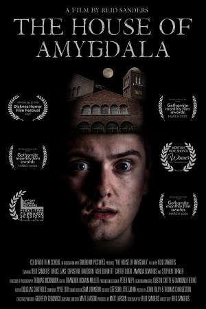 The House of Amygdala