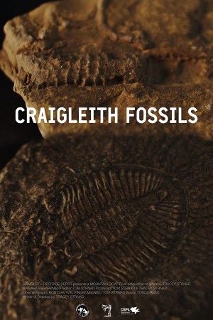 Craigleith Fossils