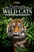 Película Thailand's Wild Cats