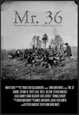 Mr 36