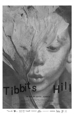Tibbits Hill