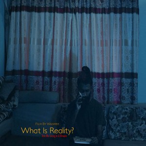 What Is Reality?