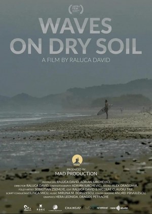 Waves on dry soil