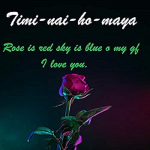 Timi-nai-ho-maya