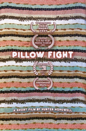 Pillow Fight