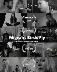 Migrant Birds Fly