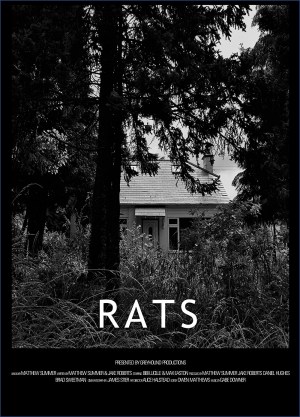 Rats