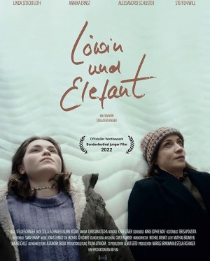 Löwin und Elefant
