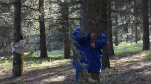 Dancing trees