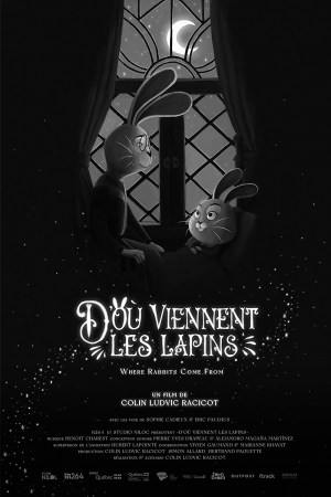 D'où viennent les lapins