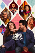 Película What's Love Got to Do with It?