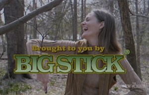 Stick World